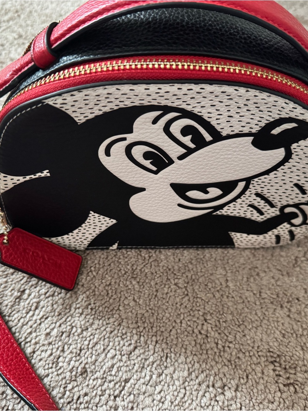 Coach Disney Mickey Mouse X Keith Haring Serena